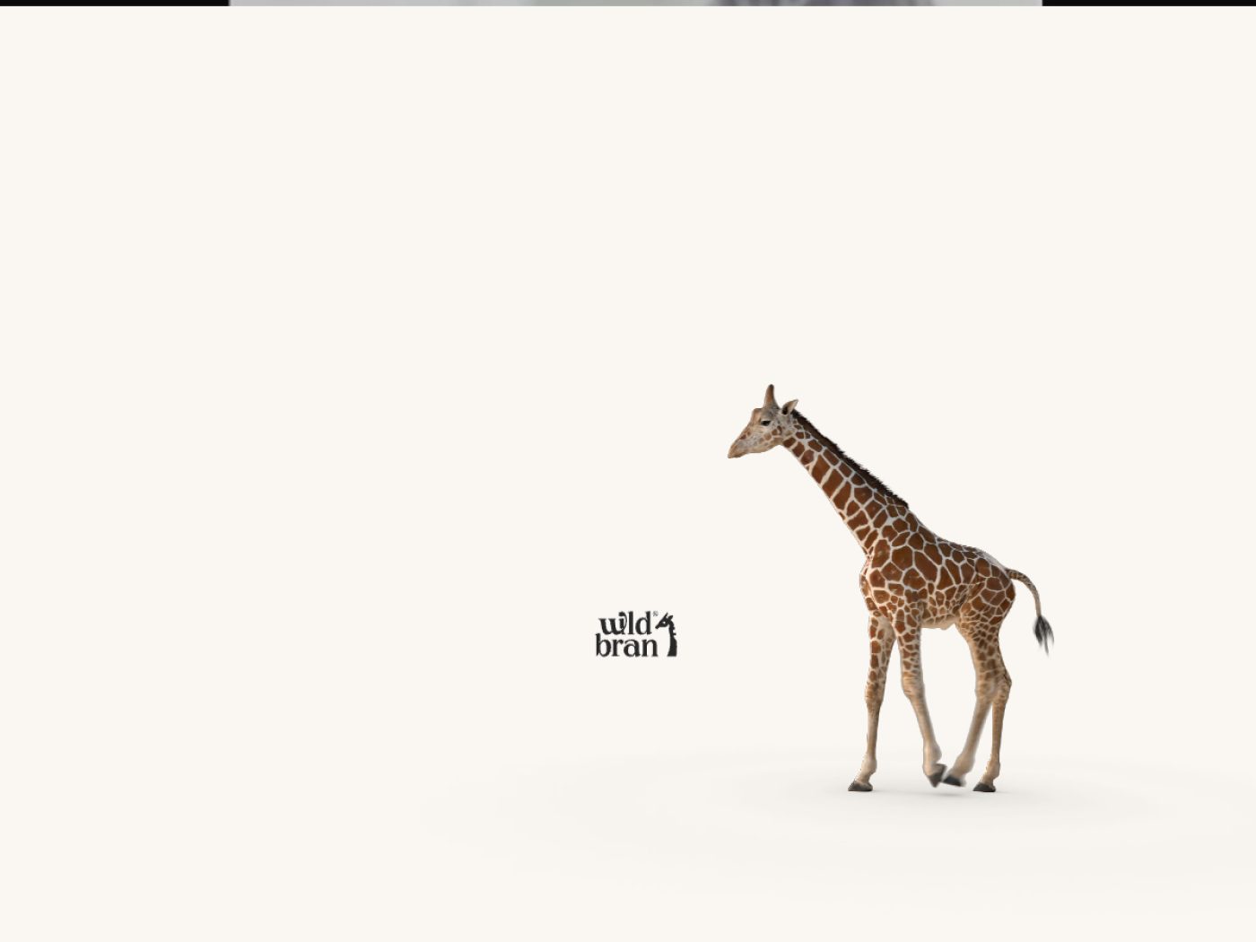 Aperçu du site de marque Wildbran